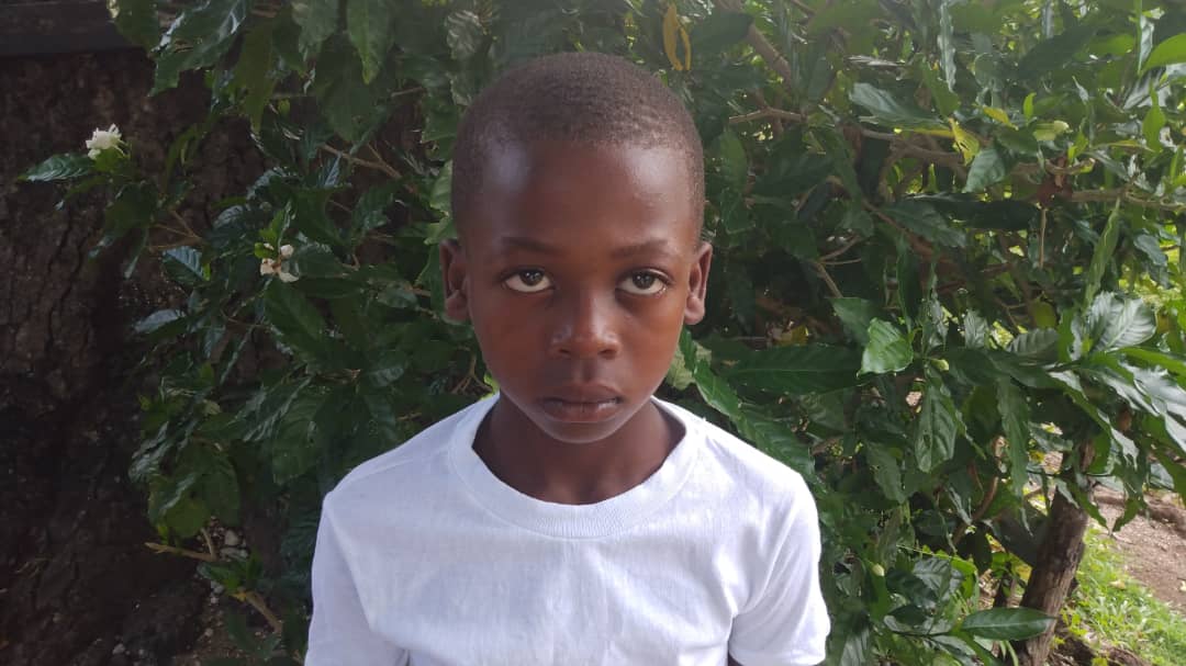 Boy in White T-Shirt Among Coffee Leaves